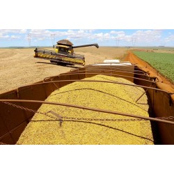 Safra de grãos 2020/21 deve chegar a 38 milhões de toneladas no Paraná